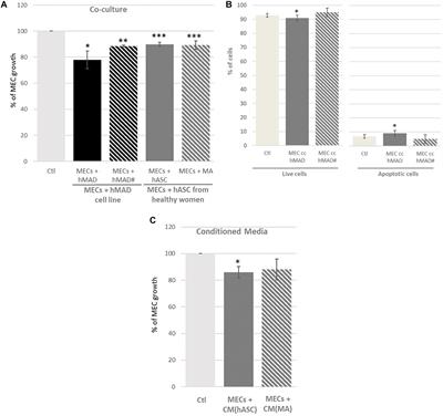 The Adipose Microenvironment Dysregulates the Mammary Myoepithelial Cells and Could Participate to the Progression of Breast Cancer